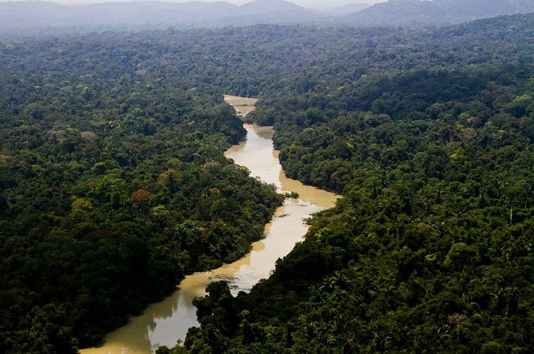 Sociedades amazônicas antigas influenciaram formação da floresta que