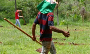 Agroecologia nas Eleições é destaque no Bem Viver desta segunda-feira (19)