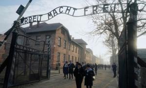Ayrton Centeno: O Mercado apostaria em Auschwitz