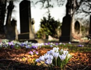 No Dia de Finados, Programa Bem Viver fala sobre formas de ressignificar o luto