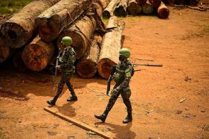 Marques Casara: A lambança das Forças Armadas na Amazônia