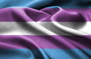 No Mês da Visibilidade Trans, Programa Bem Viver destaca desafios de travestis e transexuais