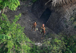 Desmatamento aumenta ameaças contra indígenas isolados, diz sertanista ao Programa Bem Viver