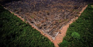 Programa Bem Viver discute desmonte da legislação ambiental no governo Bolsonaro