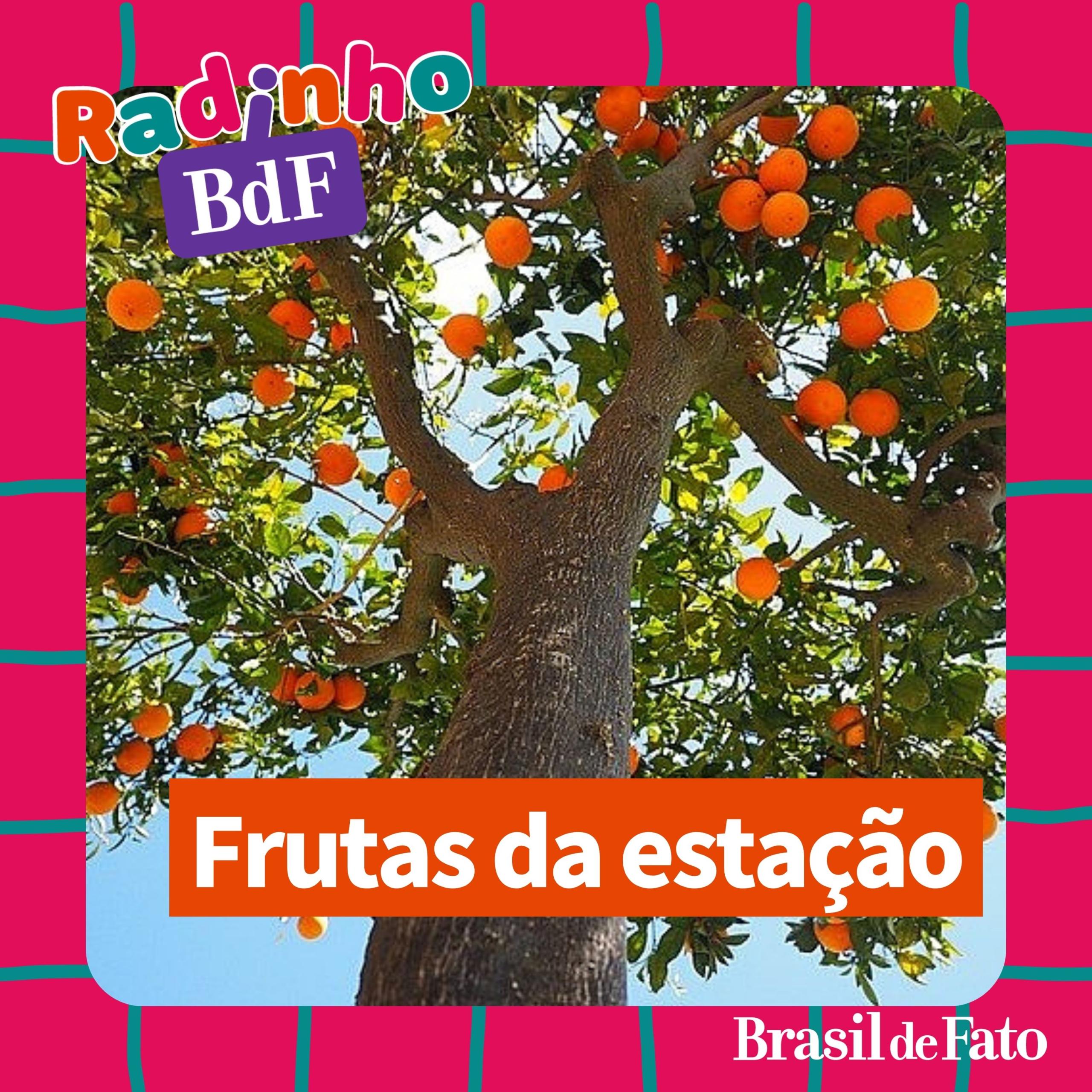 Radinho BdF