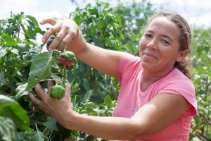 Conheça no Programa Bem Viver ação que une agricultures de regiões semiáridas da América Latina