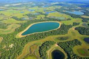 Construção de porto no MT ameaça biodiversidade do Pantanal; entenda no Programa Bem Viver