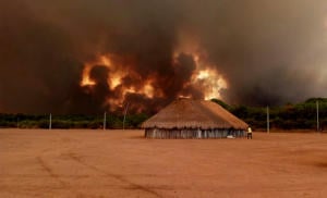 Crime ambiental envolve trabalho escravo e tráfico de drogas; entenda no Programa Bem Viver