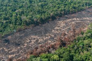 Programa Bem Viver: Observatório do Clima reforça campanha de combate a mentiras sobre Amazônia