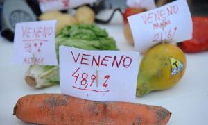 Brasil Sem Veneno: programa Bem Viver traz campanha que denuncia uso de agrotóxicos no país