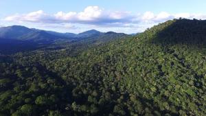 Estudo mostra importância de unidades de conservação e terras indígenas para proteção ambiental