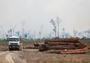 Semana do Meio Ambiente: Bem Viver aborda os desafios do Brasil contra a “insustentabilidade”