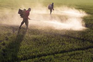 Com agrotóxicos e contra demarcações: como as “guerras” dos ruralistas ameaçam vidas no país?