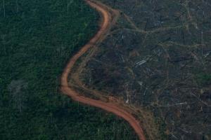 Qual o rumo da questão ambiental no Brasil? Confira debate polêmico e compromissos firmados