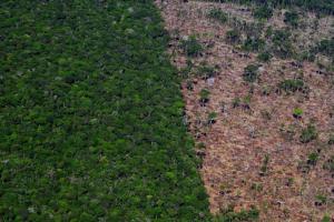 Legislação ambiental precisa acabar com ideia de que natureza é recurso, alerta membra da ONU