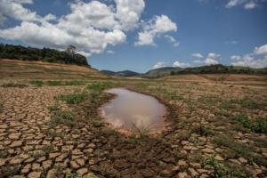 Fiscalização é essencial para diminuir o desmatamento na Amazônia, afirma bispo Dom Evaristo Spengler
