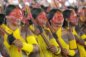 Dia da Amazônia: como comunidades tradicionais aplicam ‘economia feminista’ para manter floresta em pé